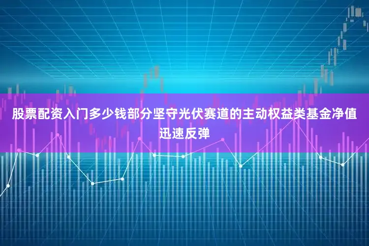 股票配资入门多少钱部分坚守光伏赛道的主动权益类基金净值迅速反弹
