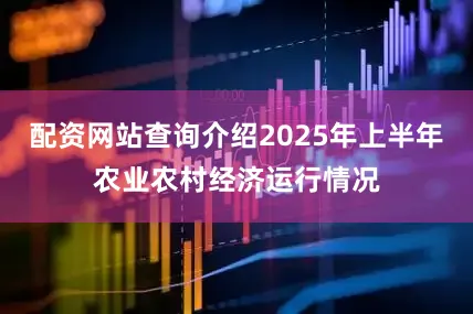 配资网站查询介绍2025年上半年农业农村经济运行情况