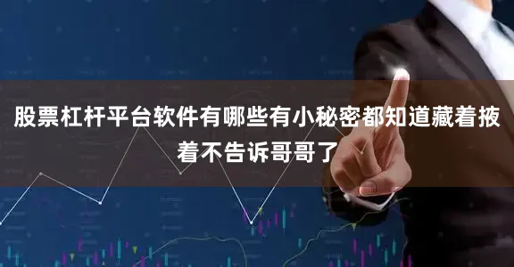 股票杠杆平台软件有哪些有小秘密都知道藏着掖着不告诉哥哥了