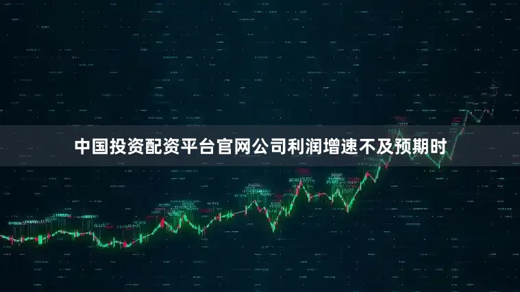 中国投资配资平台官网公司利润增速不及预期时